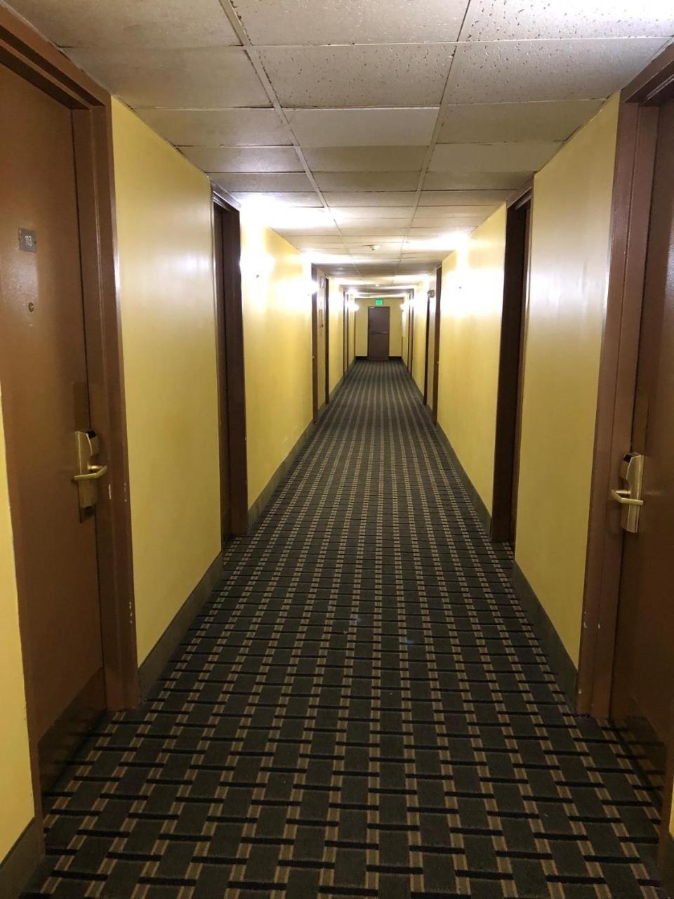 Honeyspot Motor Lodge Stratford Kültér fotó